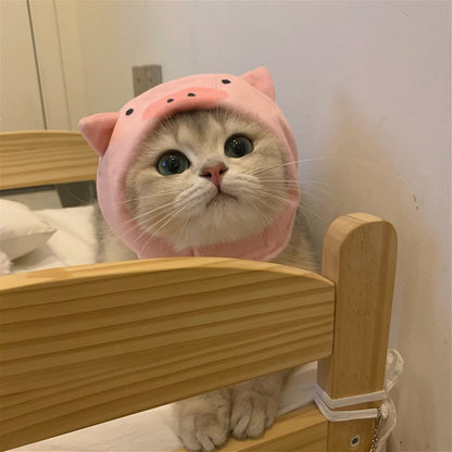 หมวกสัตว์เลี้ยง หมวกน่ารัก - 图片5