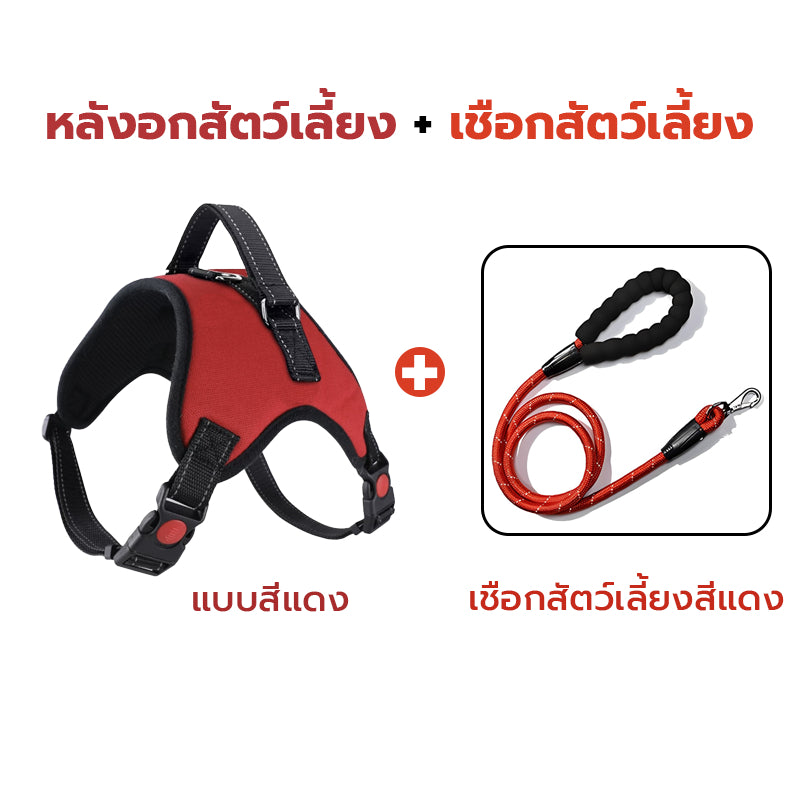 สายจูงสัตว์เลี้ยงสะท้อนแสงหลากสีสัน - 图片24