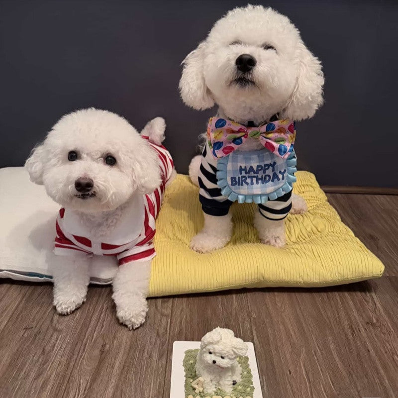 เสื้อโปโลเสื้อผ้าสัตว์เลี้ยงสุดเก๋ - 图片1