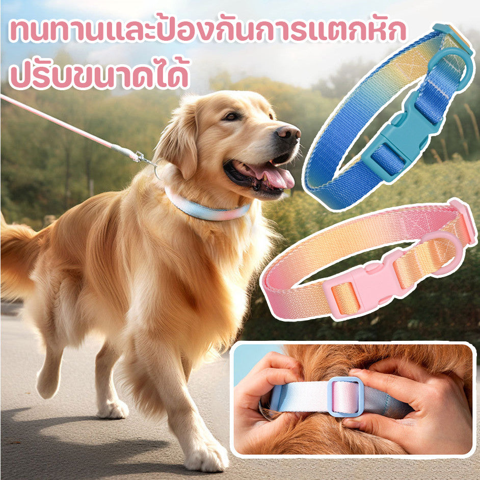 ปลอกคอสุนัข ปลอกคอสัตว์เลี้ยง ปลอกคอแมว ไล่ระดับสี - 主图