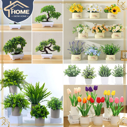 กระถางบอนไซจิ๋วสำหรับตกแต่งบ้าน - 主图