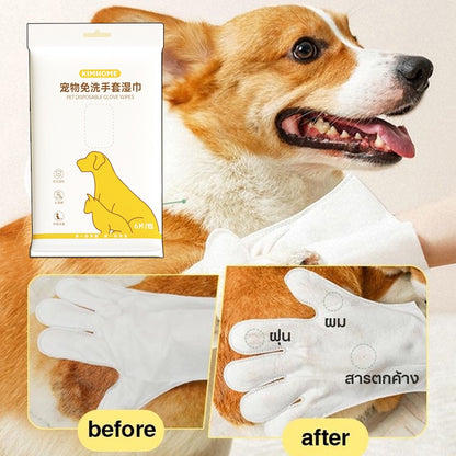 ถุงมือทำความสะอาดสัตว์เลี้ยงแบบใช้แล้วทิ้ง - 图片1