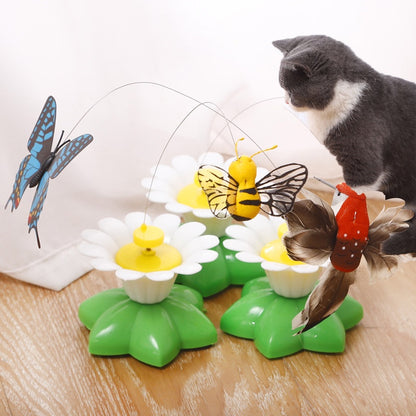 เหยื่อแมวผีเสื้ออัตโนมัติ - 图片2