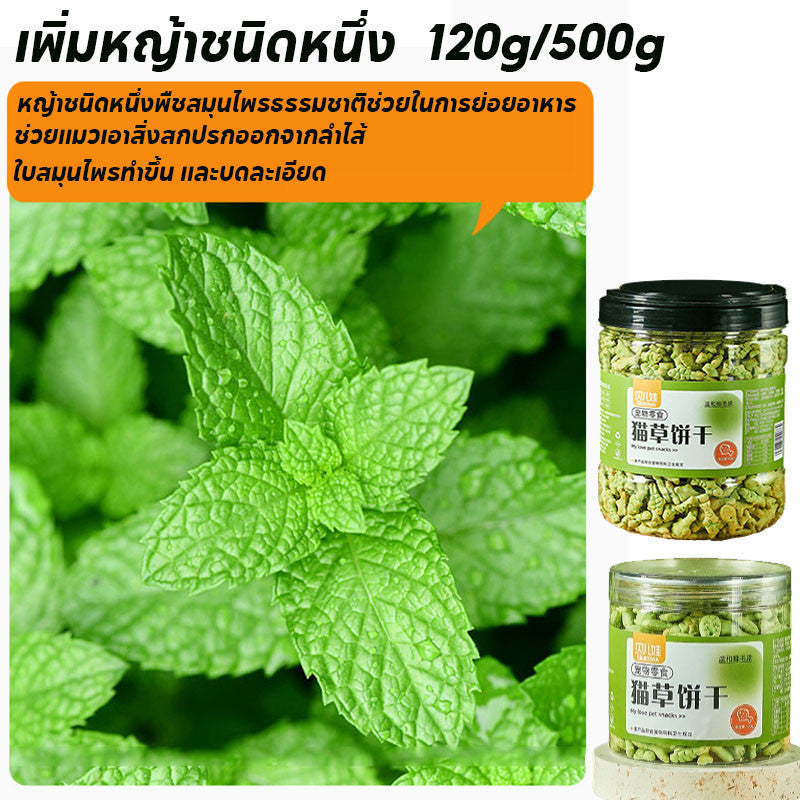 ขนมแมว บิสกิตแมวรสมิ้นต์ - 图片5
