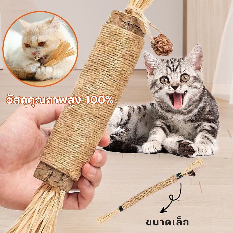 ของเล่นแปรงสีฟันไม้สำหรับแมว - 图片3