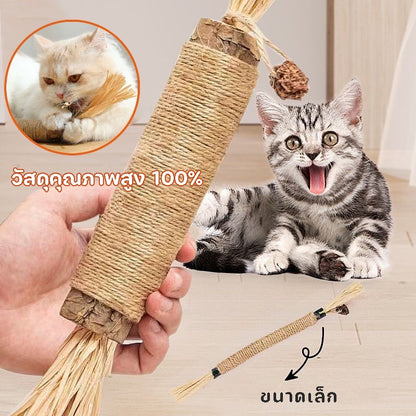 ของเล่นแปรงสีฟันไม้สำหรับแมว - 图片3