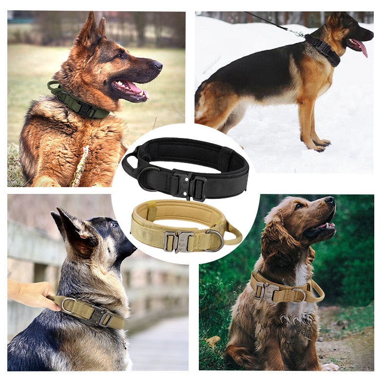 ปลอกคอสุนัขไนลอนปรับขนาดได้ สำหรับสุนัขขนาดกลางถึงใหญ่ - 图片2