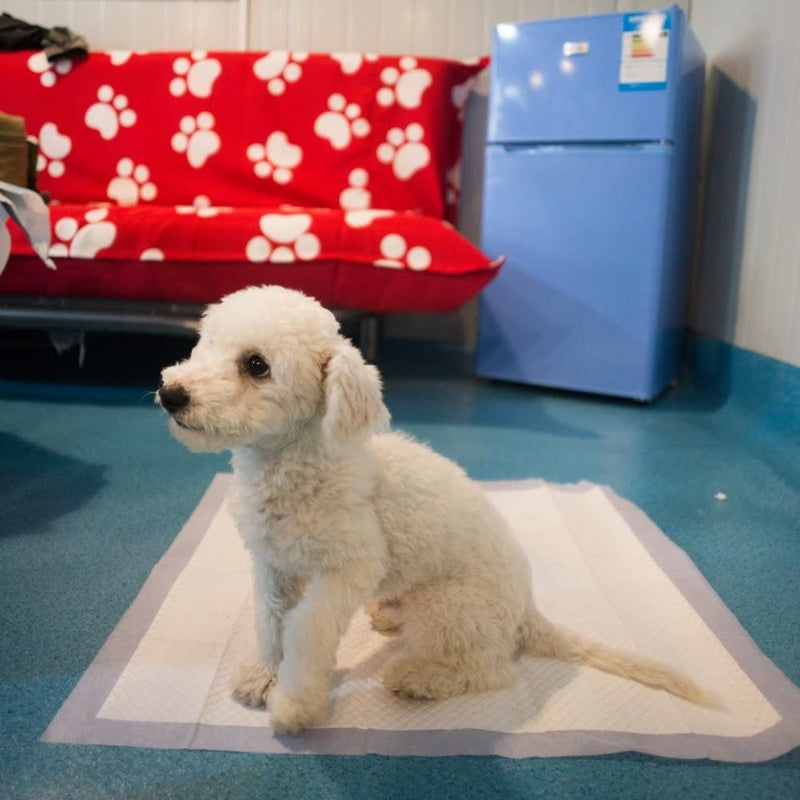 แผ่นรองเปลี่ยนสัตว์เลี้ยง - 图片6