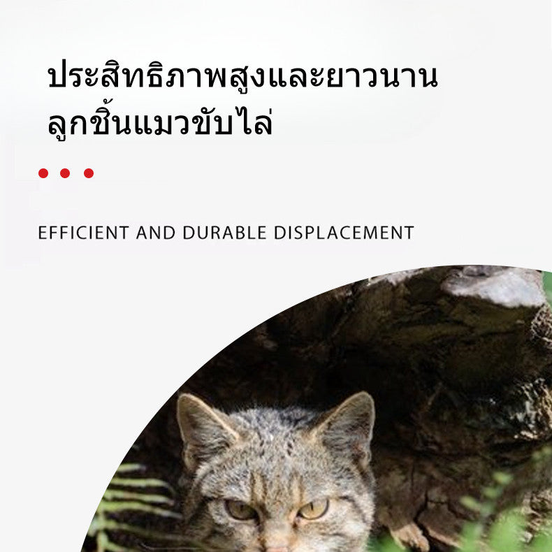 ดอดจ์บอลสัตว์เลี้ยง - 图片3