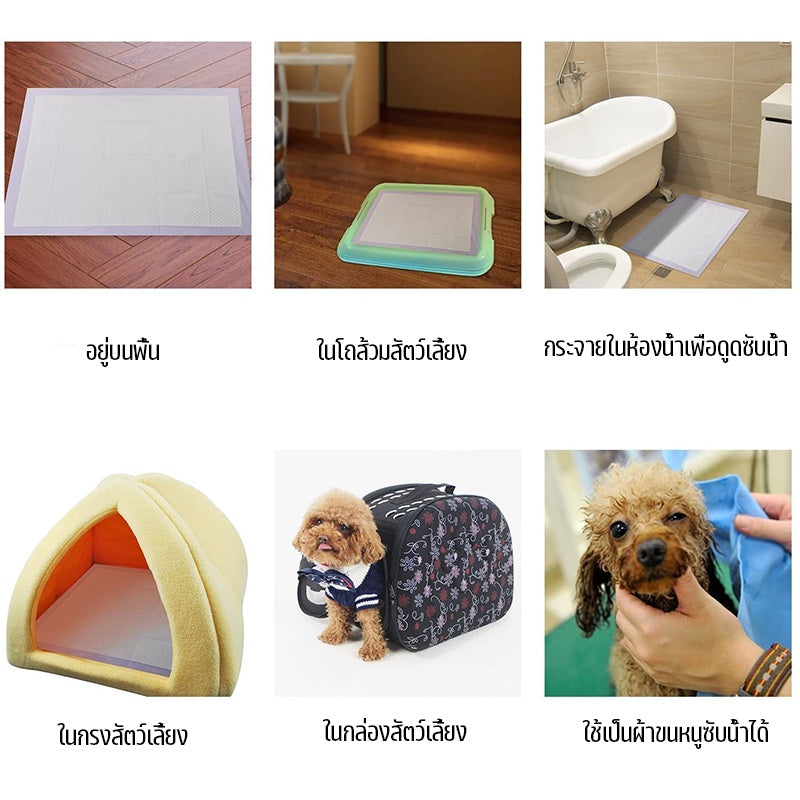 แผ่นรองเปลี่ยนสัตว์เลี้ยง - 图片11