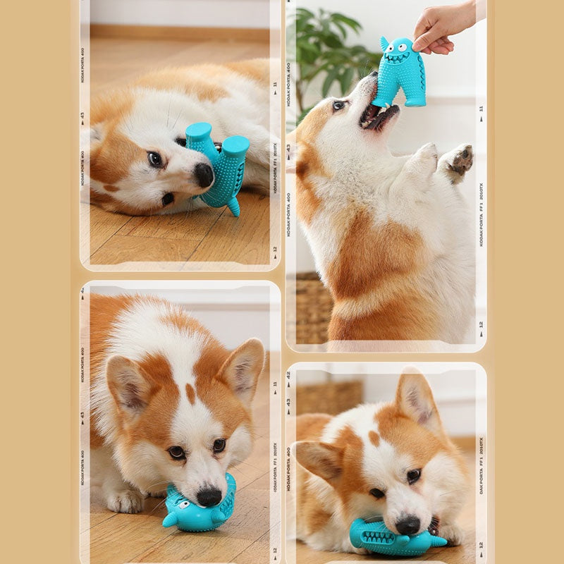 ของเล่นทำความสะอาดฟันสัตว์เลี้ยง - 图片6