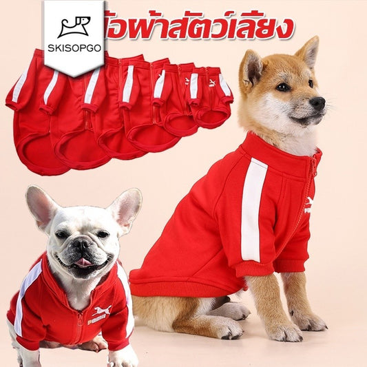 เสื้อผ้าสัตว์เลี้ยง เสื้อสเวตเตอร์ - 主图