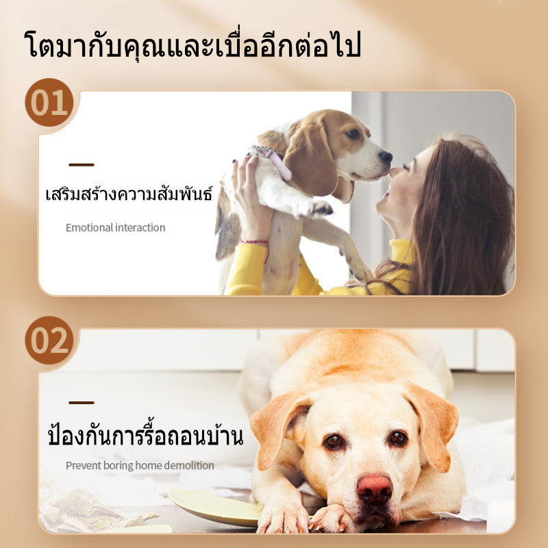 ปุ่มบันทึกสัตว์เลี้ยง - 图片5