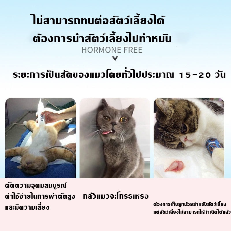 ยาปลุกอารมณ์ทางเพศสำหรับแมว - 图片8