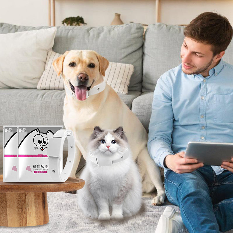 ปลอกคอกันเห็บและหมัด - 图片1