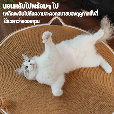 แผ่นรองข่วนแมว - 图片5