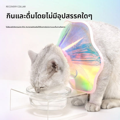 ปลอกคอกันเลียสัตว์เลี้ยง - 图片1