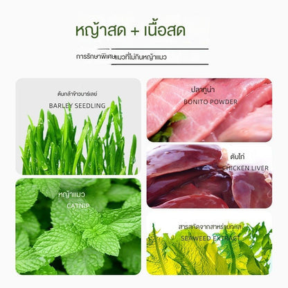 ขนมแมว บิสกิตแมวรสมิ้นต์ - 图片6