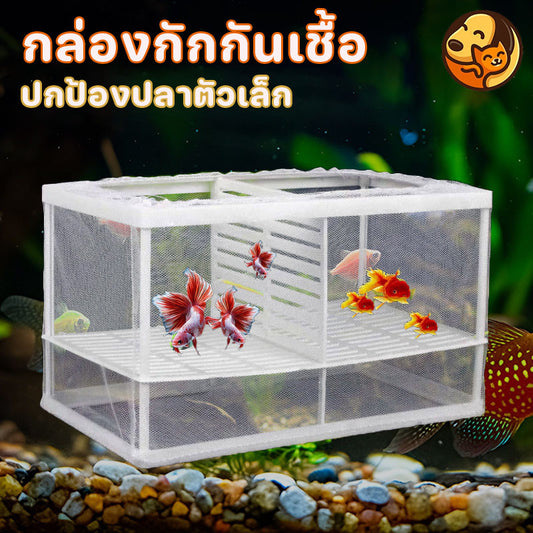 ตู้ปลาแบบมีตาข่ายช่วยแยกปลาวัยอ่อนและปลาโตเต็มวัยออกจากกัน - 主图