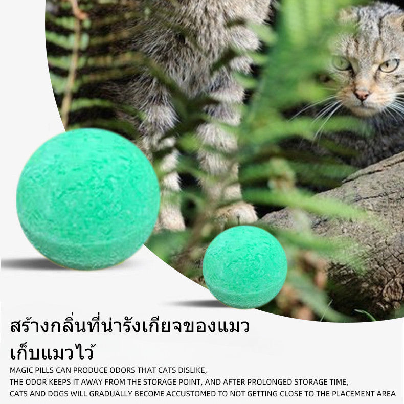 ดอดจ์บอลสัตว์เลี้ยง - 图片2