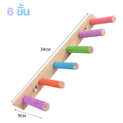 ของเล่นบันไดนกและสะพานนก - 图片8