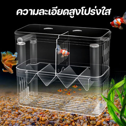 กล่องเพาะพันธุ์ปลาอเนกประสงค์แบบแยกส่วน - 图片4