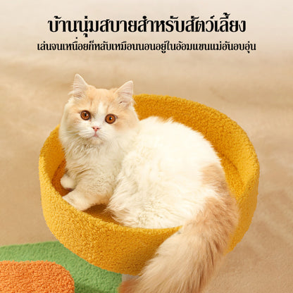 อพาร์ทเมนต์แมวสามชั้น - 图片5