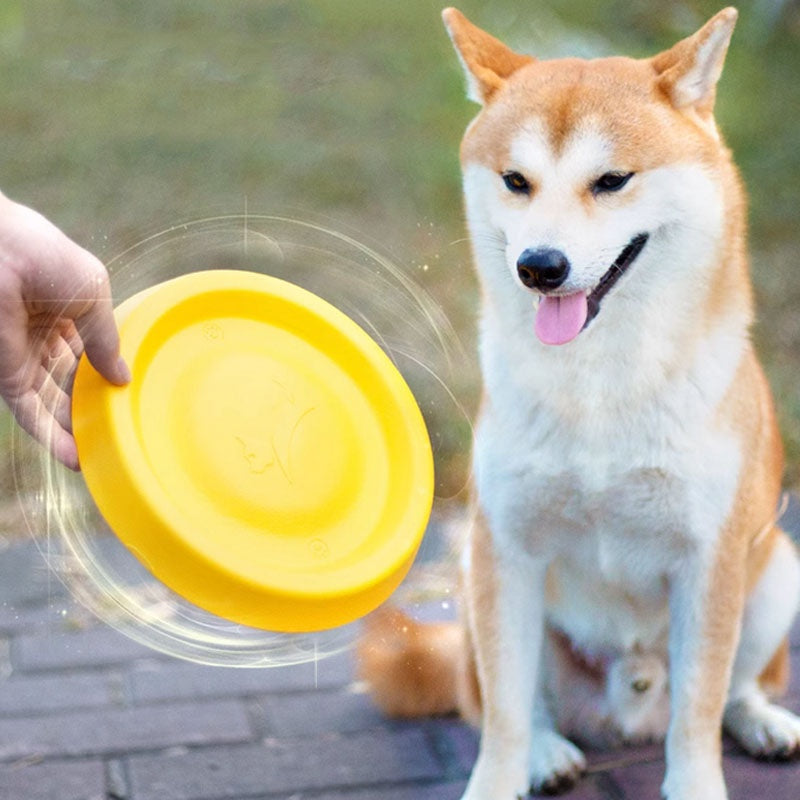 ของเล่นสุนัขจานร่อนแบบโต้ตอบ - 图片4