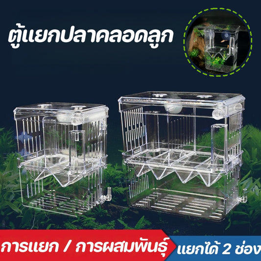 กล่องเพาะพันธุ์ปลาอเนกประสงค์แบบแยกส่วน - 主图