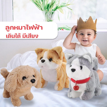 ของเล่นเด็ก, ของเล่นลูกสุนัข - 图片4