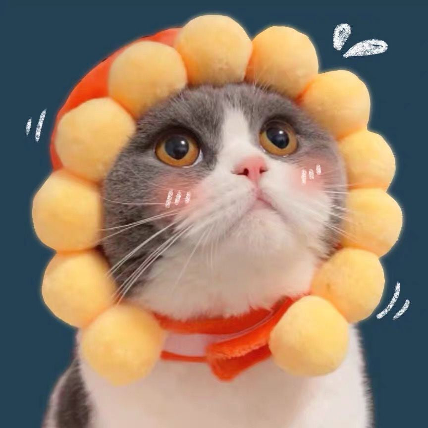 หมวกสัตว์เลี้ยง หมวกน่ารัก - 图片8