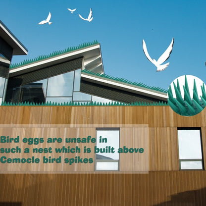 ตะปูไล่นก อุปกรณ์ทำรังนก - 图片7