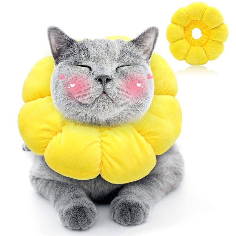 ปลอกคอป้องกันการเลีย - 图片13