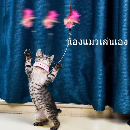 ปลอกคอแมวแสนสนุก ไม้แมวแสนสนุก - 图片3