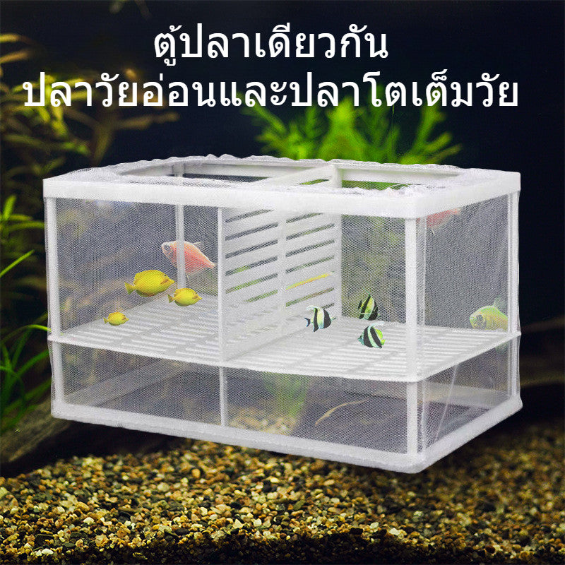 ตู้ปลาแบบมีตาข่ายช่วยแยกปลาวัยอ่อนและปลาโตเต็มวัยออกจากกัน - 图片3