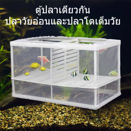 ตู้ปลาแบบมีตาข่ายช่วยแยกปลาวัยอ่อนและปลาโตเต็มวัยออกจากกัน - 图片3