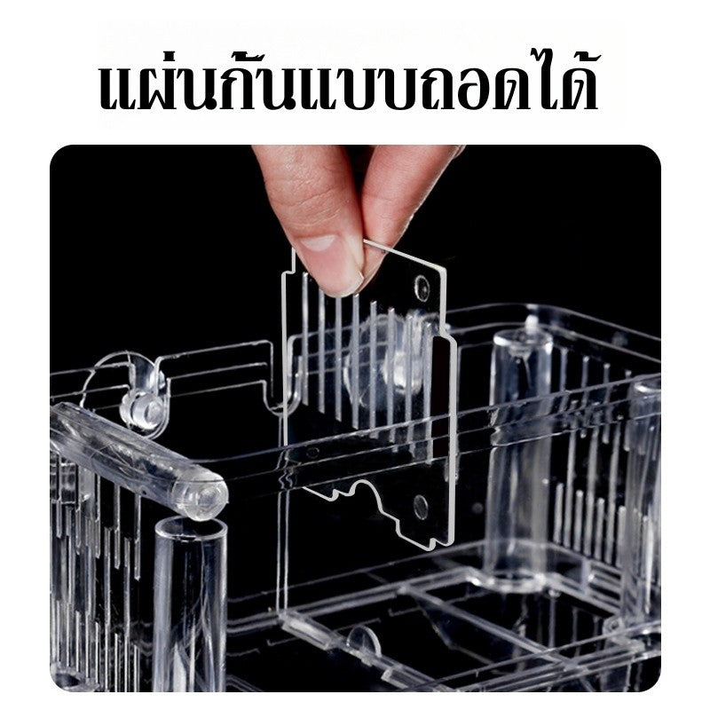 กล่องเพาะพันธุ์ปลาอเนกประสงค์แบบแยกส่วน - 图片2