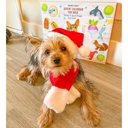 หมวกคริสต์มาสสำหรับสัตว์เลี้ยง เสื้อผ้าสัตว์เลี้ยง - 图片2