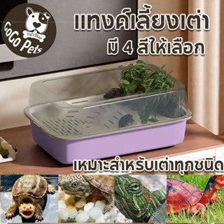 ตู้เลี้ยงเต่าคุณภาพสูง ตู้เลี้ยงเต่าที่มีแผ่นรองด้านในเปลี่ยนได้ง่าย - 主图