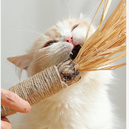 ของเล่นแปรงสีฟันไม้สำหรับแมว - 图片5