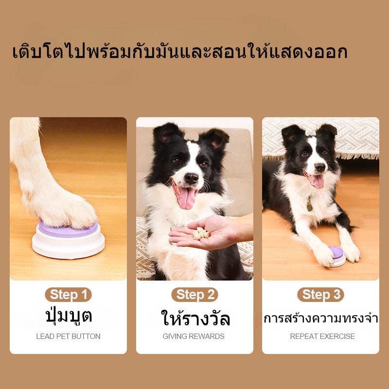 ปุ่มบันทึกสัตว์เลี้ยง - 图片2