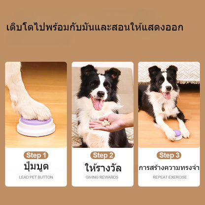 ปุ่มบันทึกสัตว์เลี้ยง - 图片2