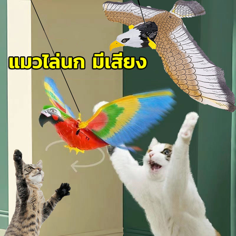 ของเล่นเชือกแขวน ของเล่นแมว - 图片2