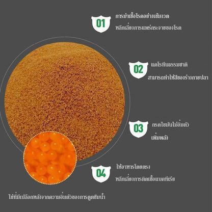 อาหารปลากัด, ไข่กุ้งน้ำเค็ม, ไรน้ำสด, อาหารลูกปลา - 图片4