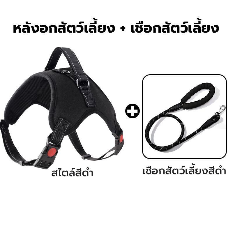 สายจูงสัตว์เลี้ยงสะท้อนแสงหลากสีสัน - 图片23