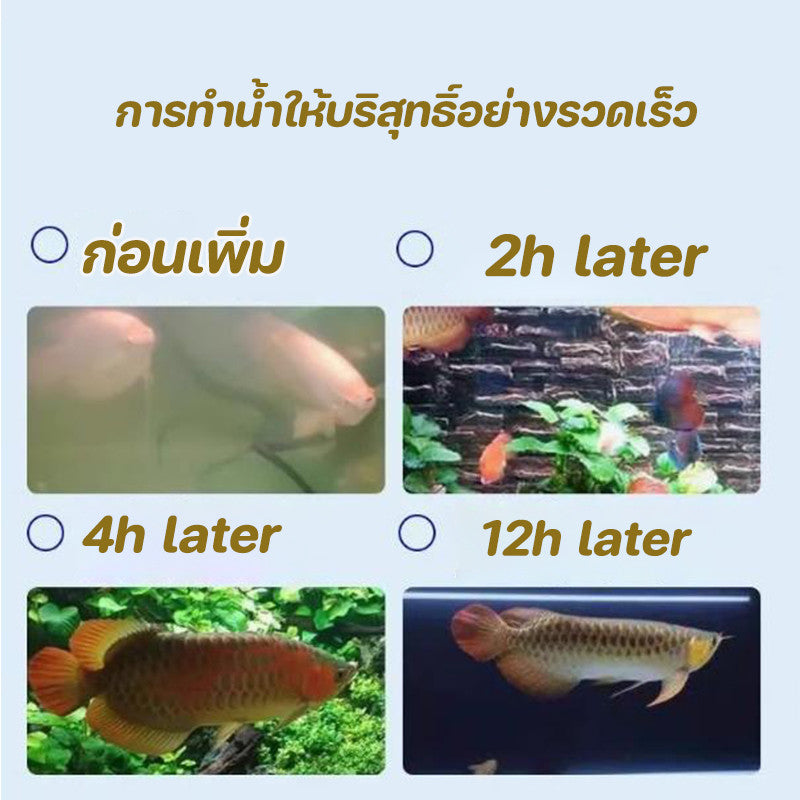 สารบำบัดน้ำสามารถย่อยสลายมูลปลาได้ - 图片5