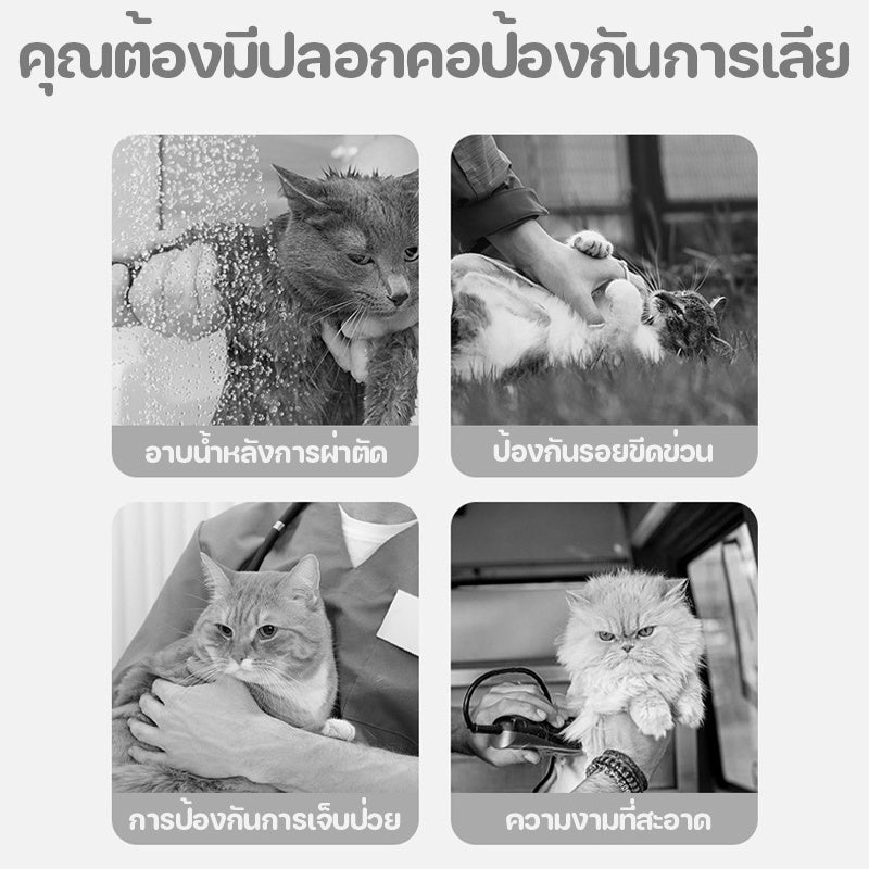 ปลอกคอกันเลียสัตว์เลี้ยง - 图片3