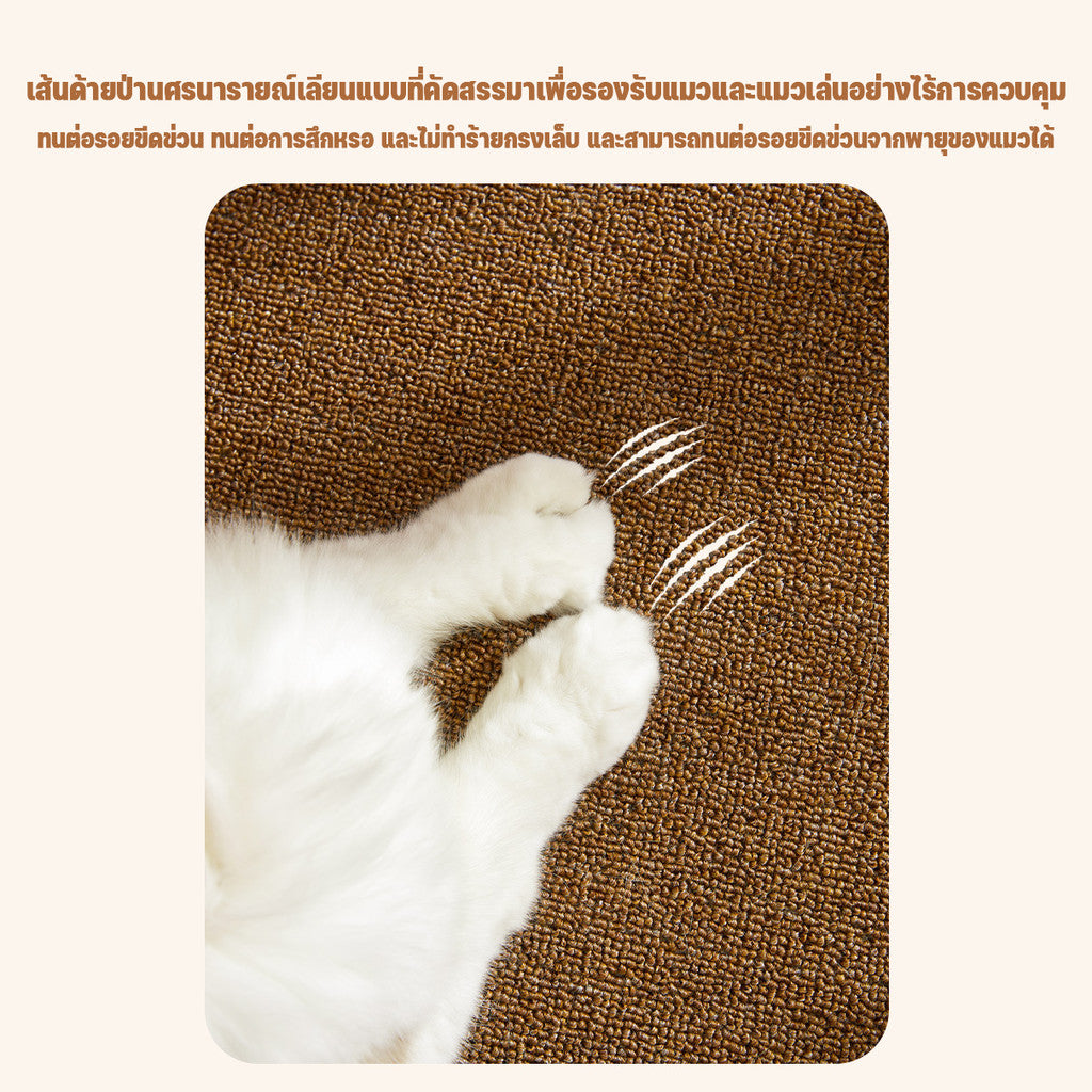 เสื่อปูพื้นสัตว์เลี้ยง เสื่อเกา - 图片2
