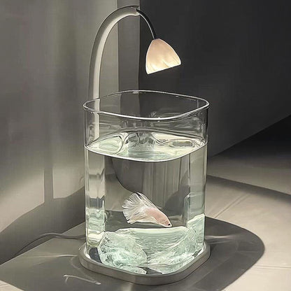 ตู้เลี้ยงปลาเบต้าพลาสติกใส พร้อมไฟ LED - 图片1