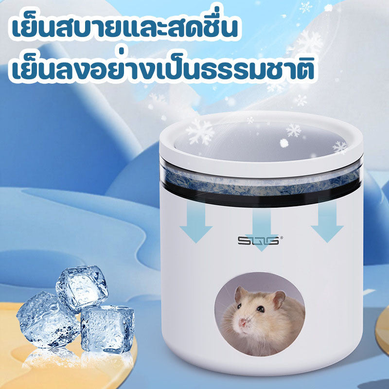 บ้านแฮมสเตอร์, บ้านหนูตะเภา, บ้านสัตว์เลี้ยง - 图片1